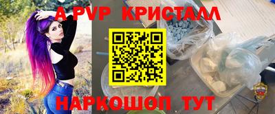 стаф Гусев