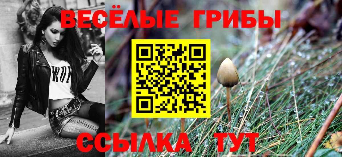 закладки  Псилоцибиновые грибы ЛСД  Вход с VPN  Галлюциногенные грибы Psilocybe  Керчь 